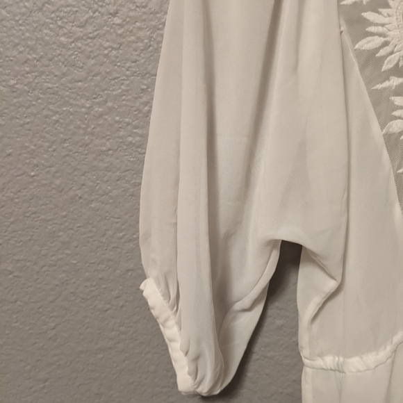 Cynthia Steffe Romantic Blouse Embroidered Semi Sheer Victorian Style Sz.M - Picture 5 of 9